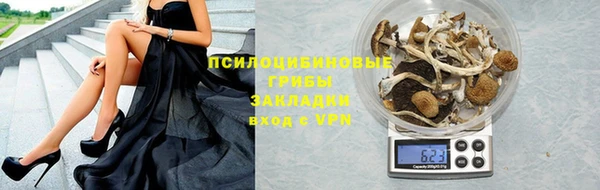 СК Покровск