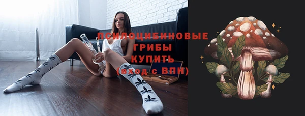 молекула духа Покачи